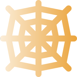 spider web icon